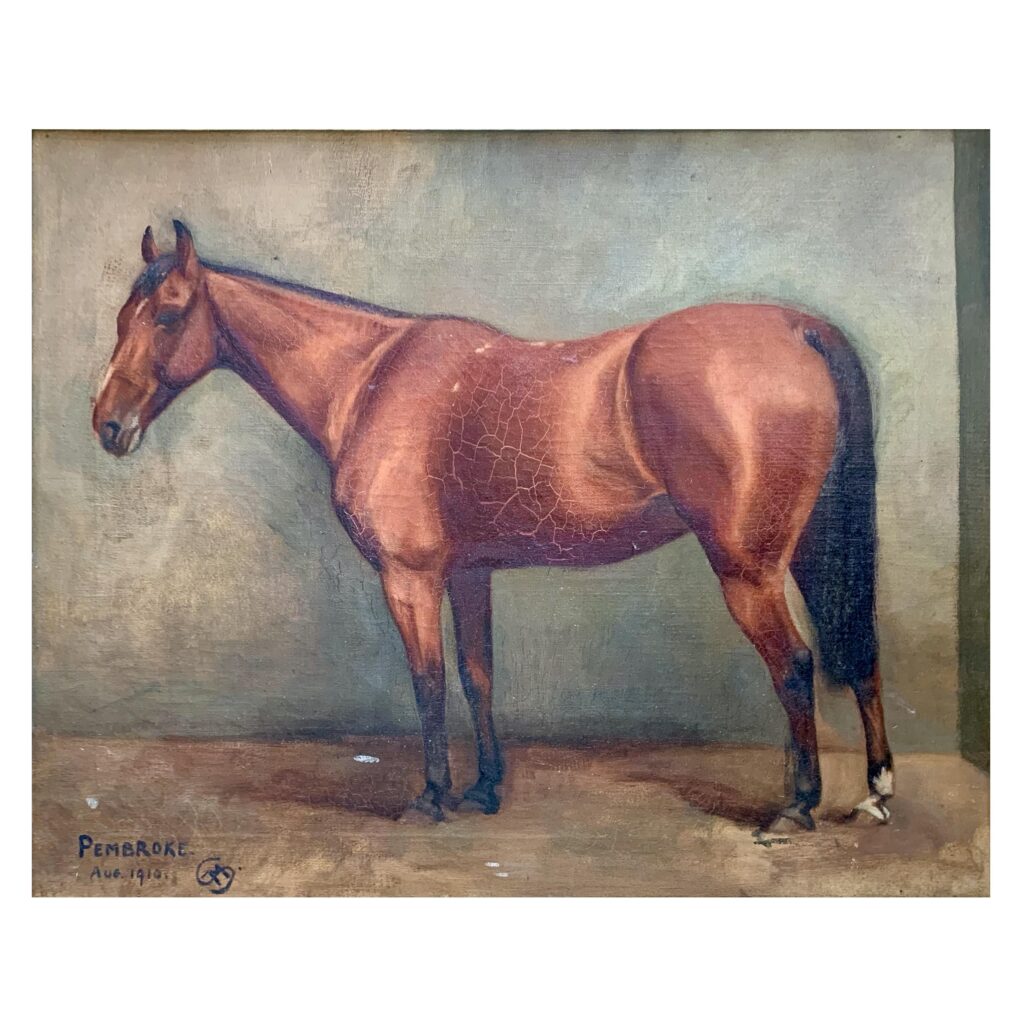 An equine portrait of a chestnut horse 'Pembroke'